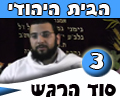 סוד הרגש , הבית היהודי-